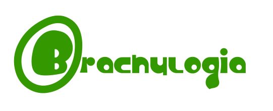 brachylogia-logo